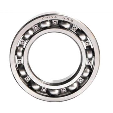 China Lowest Price Cylindrical Roller Bearing N /Nu/Nj 300series