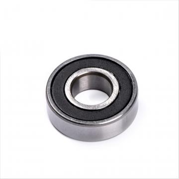 Chik/NSK/SKF/NTN/Koyo/Timken Brand Nu202~Nu244 Model Cylindrical Roller Bearing