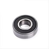 China Supplier Double Row Cylindrical Roller Bearing Nu for Electric Bicycle